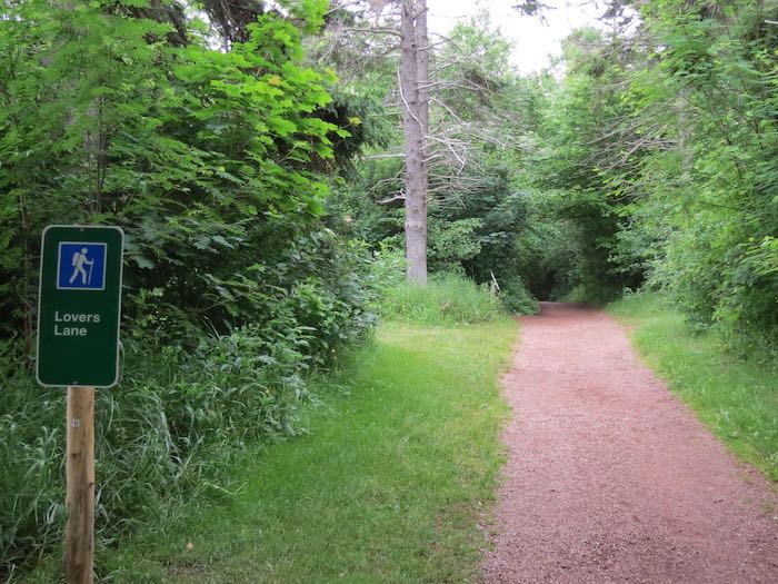 Photograph of Lover's Lane in Cavendish, PEI.